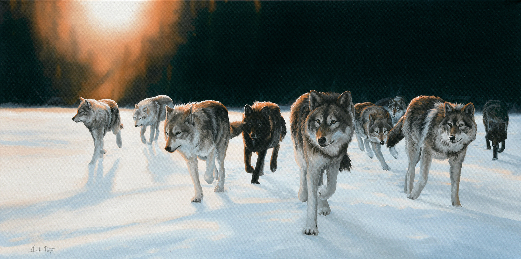 Exode vers une terre sans homme – Loups gris
